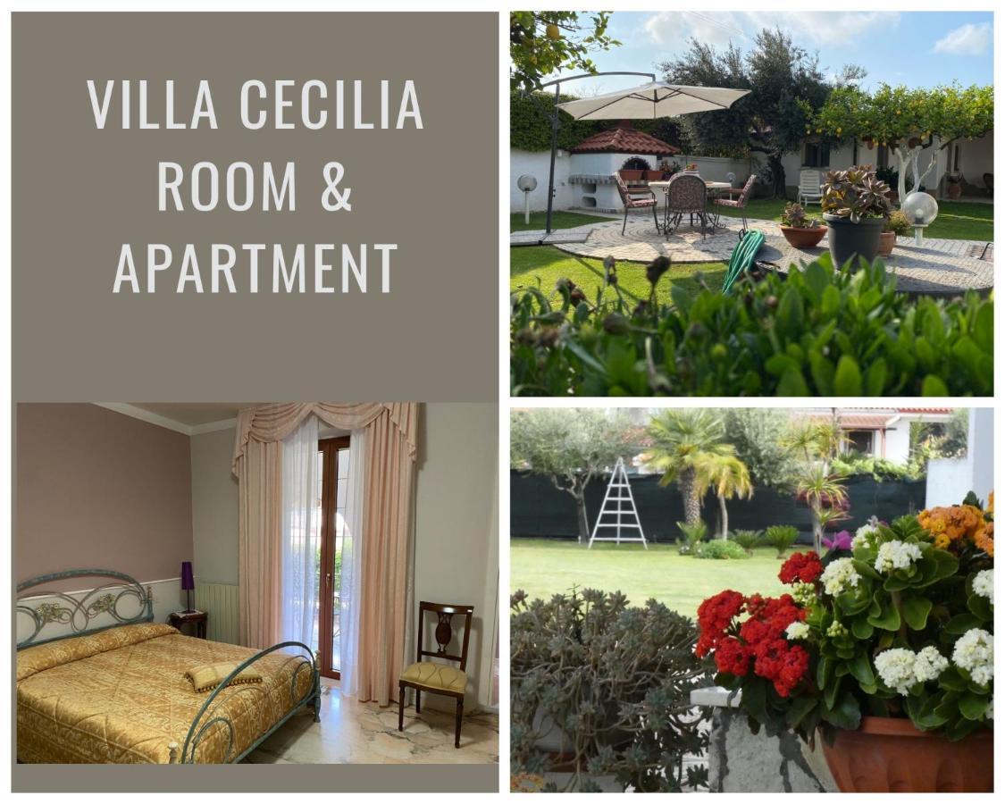 Villa Cecilia Bed And Breakfast Cellole Exteriör bild